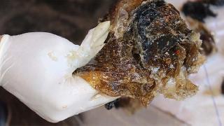 Antep'te üretiliyor! Kilosu 300 Lira