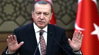 Erdoğan: OHAL için 12 ay yetmeyebilir