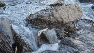 Diyarbakır'da korkutan görüntü