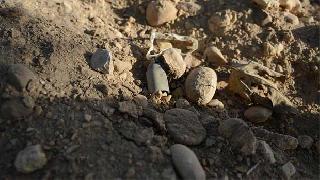 Kilis'e atılan roketin imhası sırasında patlama!