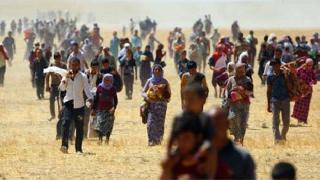 Kanada Kürdistan'a ekip yolluyor