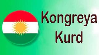 Kürd Kongresi Kuruldu