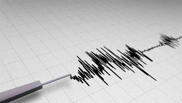Van'da korkutan deprem
