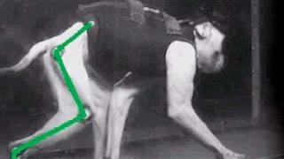 Felçli maymun Wi-Fi bağlantısıyla yürütüldü, sıra insanda