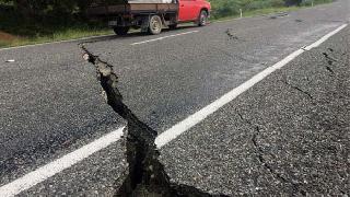 Yeni Zelanda beşik gibi!