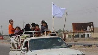 Musul'dan kaçan 36 bin 609 kişi Peşmerge’ye sığındı