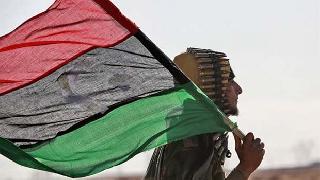 Maymun saldırısı kriz yarattı! 21 ölü, 100 yaralı