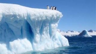 Bilim insanları uyardı