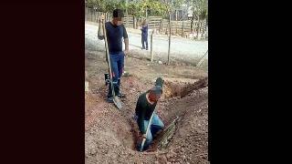 İzmir'de gerilla cenazesini mezarından çıkarttılar