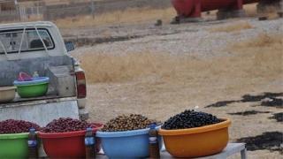 Peşmerge'nin IŞİD'den kurtardığı Başika ve Behzan'da hayat normale dönüyor