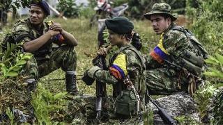 Kolombiya'da FARC üyelerine af