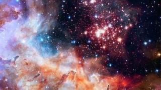 Bilim insanları kanıtladı! Hepimizde varmış!