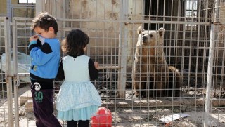 Onlar da IŞİD kurbanı!