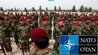 Roj Peşmergelerini NATO eğitiyor