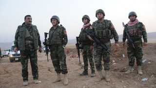 Rojava'da geniş bir bölgeyi Suriye rejimine teslim eden PKK, Şengal’de ise Peşmerge ile savaşa hazırlanıyor