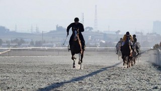 Kürdistan'da İlk Defa At Yarışı Düzenlendi