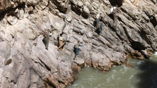 Pancar toplamak Için hayatlarını riske atıyorlar