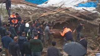 Van'da enkaz altında kalan 54 hayvan telef oldu