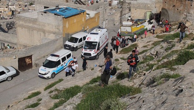 Urfa'da köpek kavgası: 2 ölü, 1 yaralı