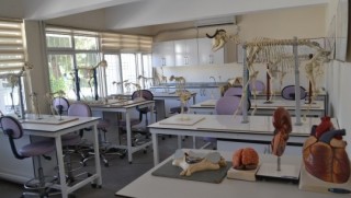 Siirt'te hayvan hastanesi kuruldu