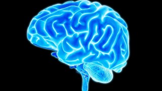 Mikro devre üzerinde beyin hücreleri üretildi