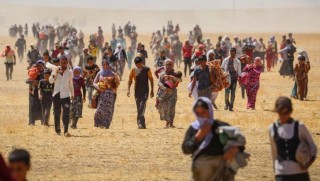 Dexil: Ezidiler için 'Online müze' kurulacak