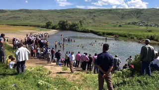 Muş'ta dereye giren genç boğuldu