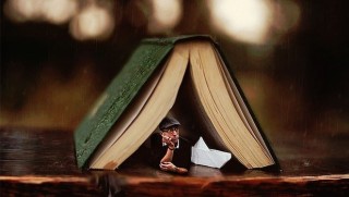 Sahte Demokrasi, Doğru Demokrasi