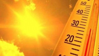 Mardin'de engelli, hamile ve hastalara izin