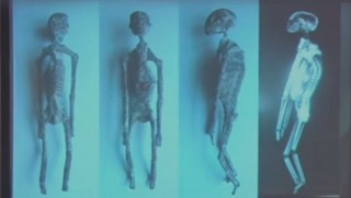 Bilim dünyasını şaşkına çeviren keşif