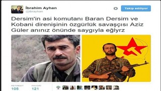 HDP’li vekile ‘propaganda’dan hapis cezası