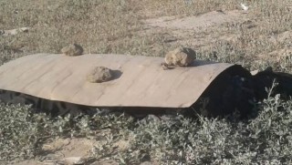 Doğubayazıt'ta kadın cesedi bulundu