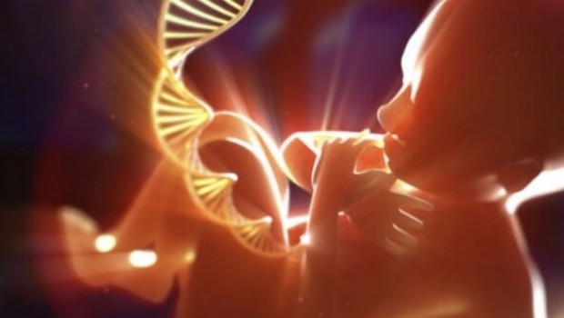 ABD'li bilim insanları hastalık taşıyan DNA'yı düzeltmeyi başardı