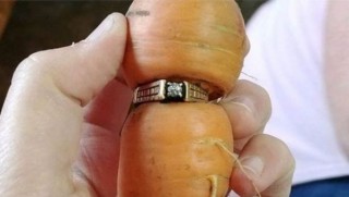 13 yıldır kayıp olan yüzük bir havucun ortasında bulundu