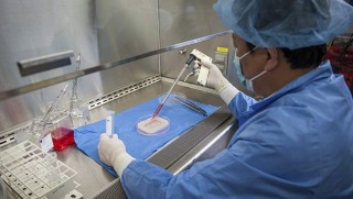 Organları tamir eden doku üretildi