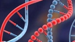 ABD'de lösemiye karşı ilk gen terapisine onay