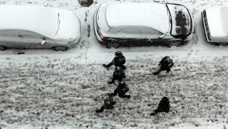 Kürt illeri beyaza boyandı!