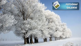 Sıcaklığın -17'ye düştüğü Kürt şehrinde ortaya müthiş görüntüler çıktı...