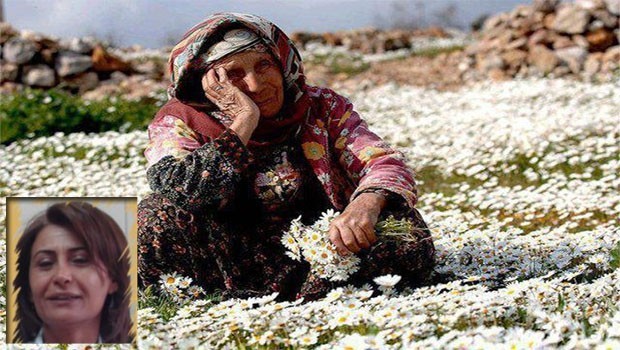 Gülsen Feroğlu: Bitter mi cidden, geçmeyen gibi...