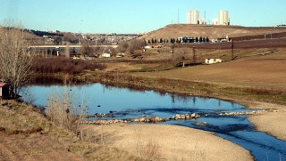 Dicle Nehri can çekişiyor