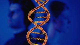 Bilim insanları: Kadınlar erkeklerden biyolojik olarak daha güçlü