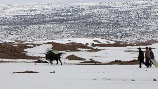 Dünyaya bir haller oluyor... Çöle 40 santimetre kar yağdı
