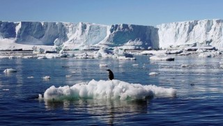 Tüm dünyayı bekleyen büyük tehlike!
