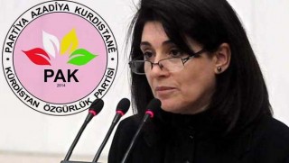 PAK: Kürtlere tahammülsüzlüğün göstergesidir!