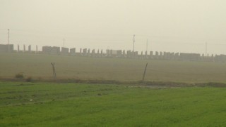 'Qamişlo'da 5 Bin Rejim askeri gözaltına alındı' iddiası