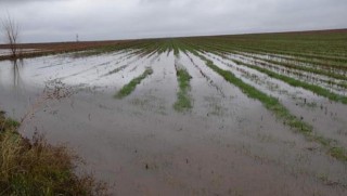 Siverek'te Yağmur duasına çıktılar, köyü sel aldı