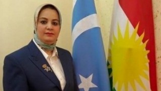 Türkmen vekilden 'Afrin' açıklaması: Savaşa karşıyız