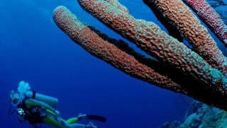 Dünya yeni bir çağa mı girdi?