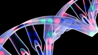 Mikroskobik DNA robotları farelerde kanser hücrelerini küçülttü