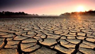 Güney Afrika'da kuraklık nedeniyle ulusal felaket ilan edildi